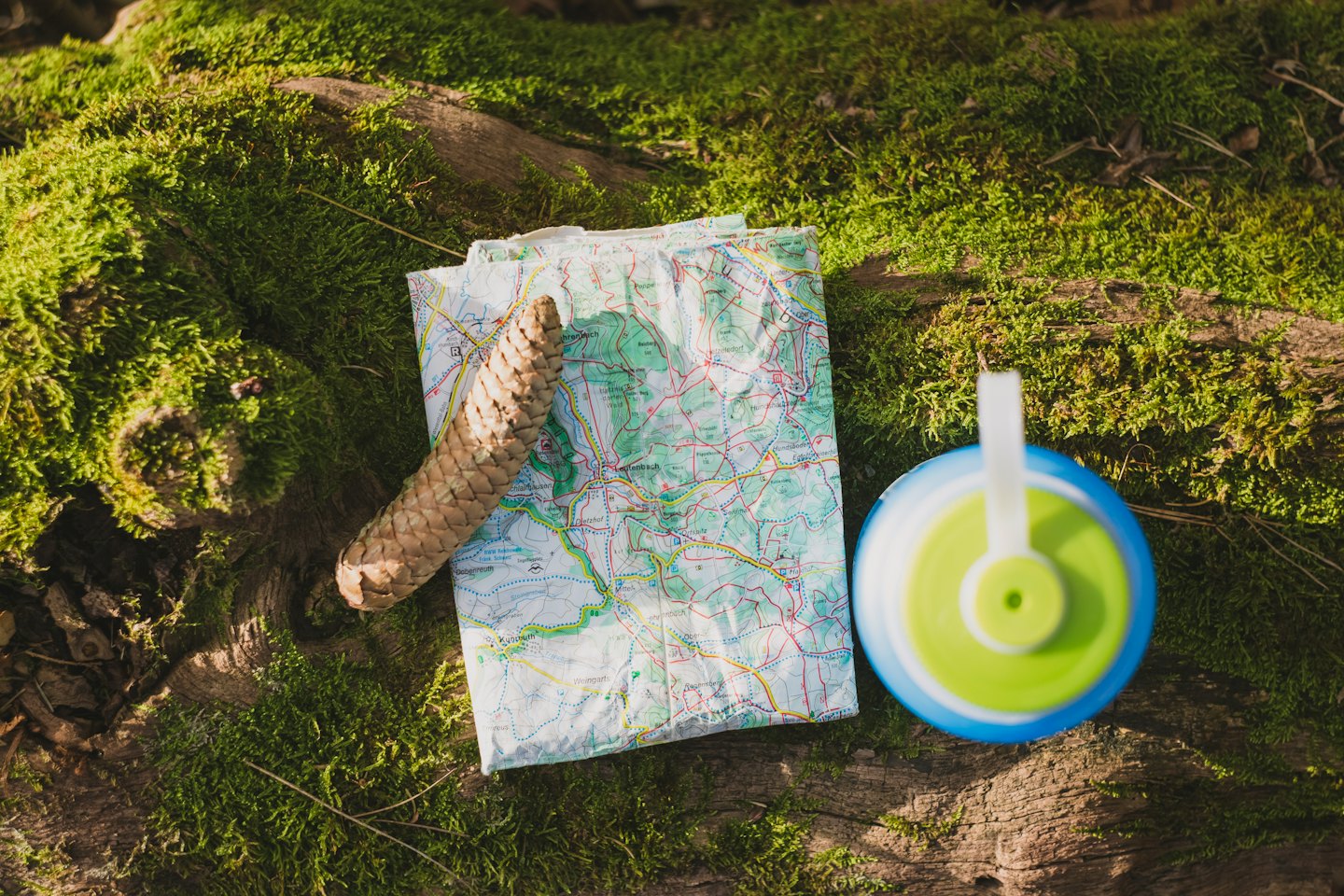 Hiking gear resting on a mossy forest log.